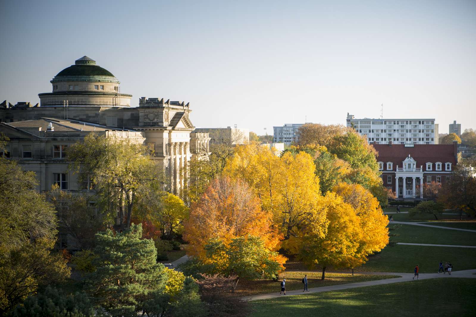 Buildings with fall trees.