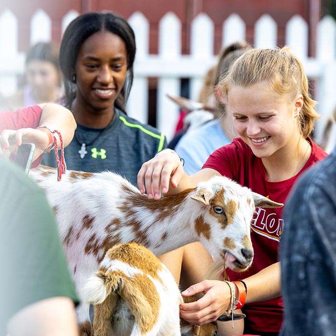 Two students pet goats during an outdoor yoga class.