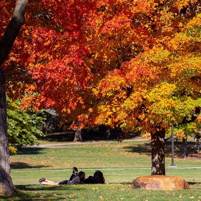 Students relax under a tree on central campus on a sunny fall day.